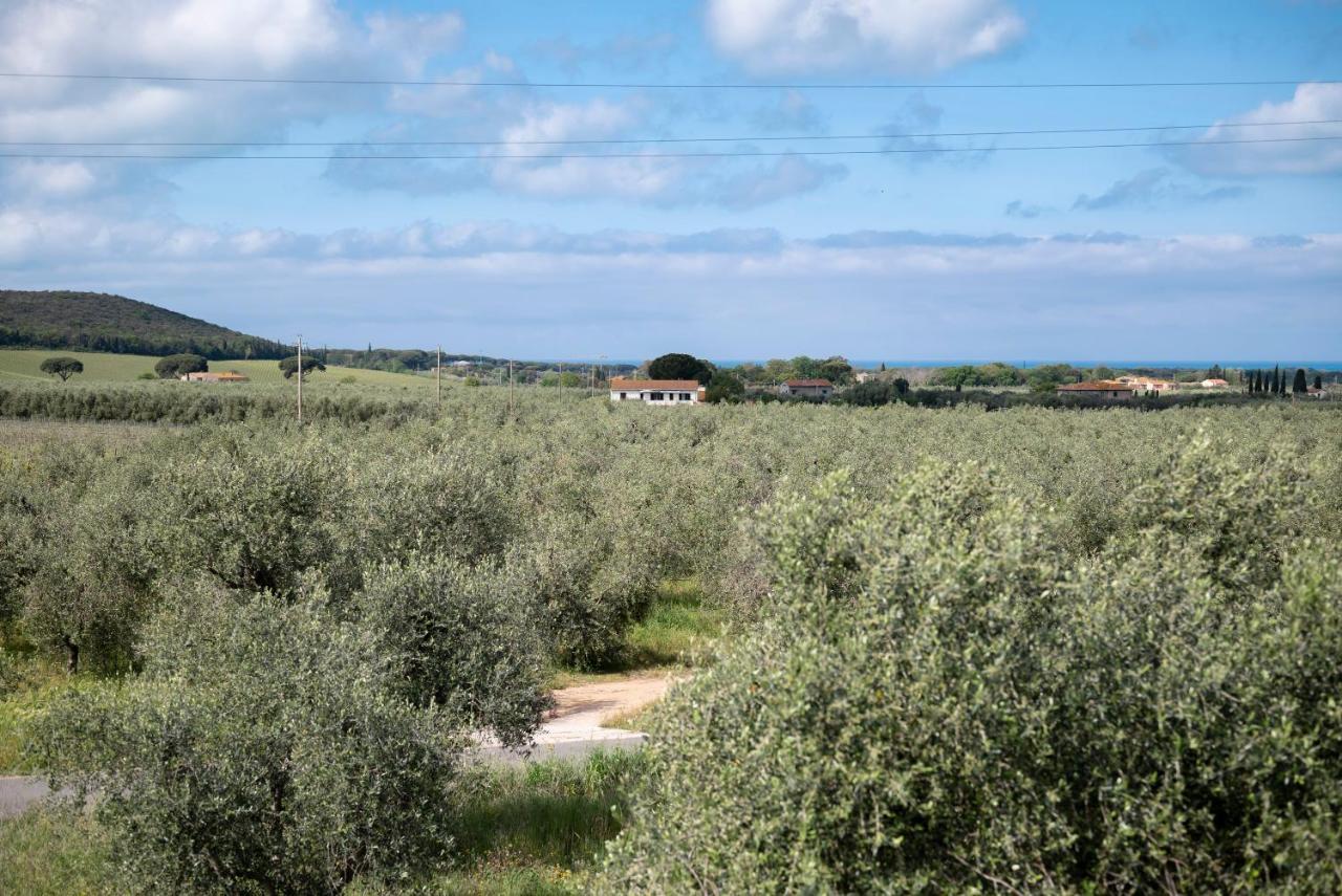 Bed and breakfast Podere Vignanova & Castagneto Carducci