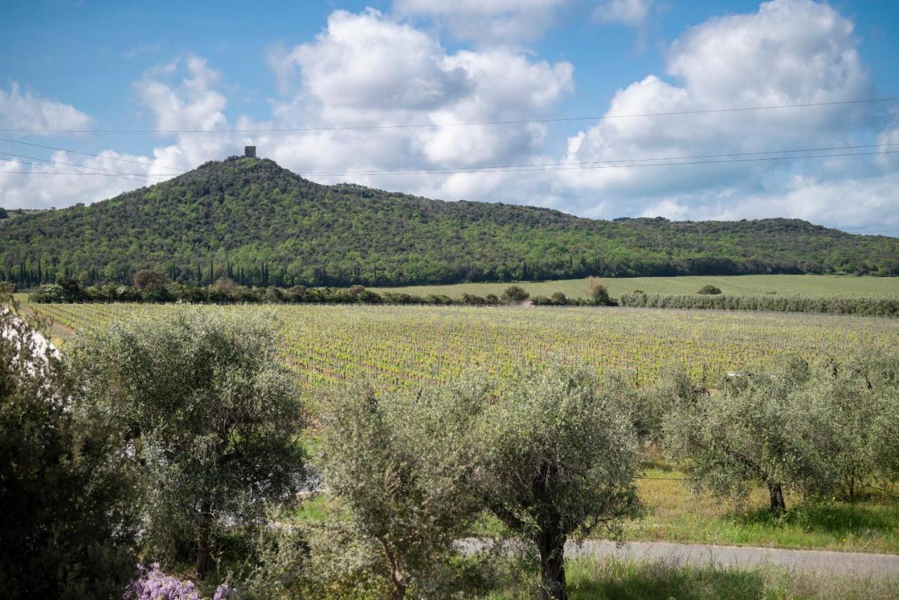 Podere Vignanova &