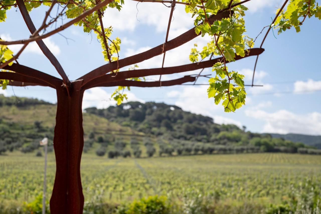 Alojamento de Acomodação e Pequeno-almoço Podere Vignanova & Castagneto Carducci